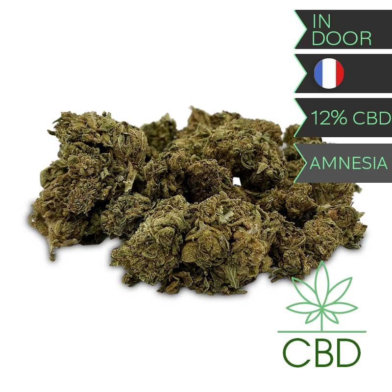La Jamaïcaine – Le Zédou – Fleur CBD Amnesia – 12 g – Pot
