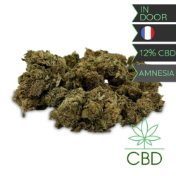 La Jamaïcaine – Le Zédou – Fleur CBD Amnesia – 12 g – Pot