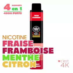 Kit STX 4 en1 RED REBELLION Dinner Lady | ZOFO - 20mg