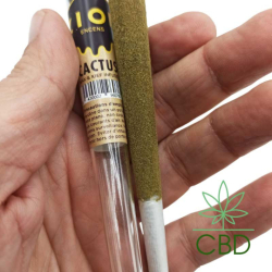 Joint ZION CACTUS Wax & Kief