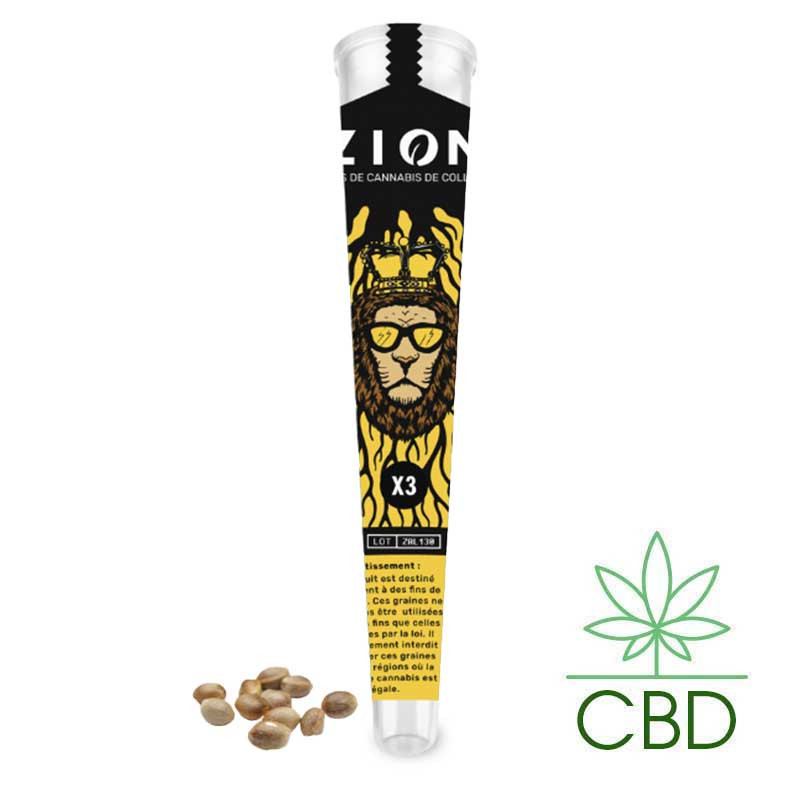 Graines CBD de collection Amnesia ZION