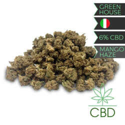 Mango Haze CBD Fleurs 15g Greeneo