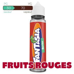 Fantasia Berries Liquidéo 50ml