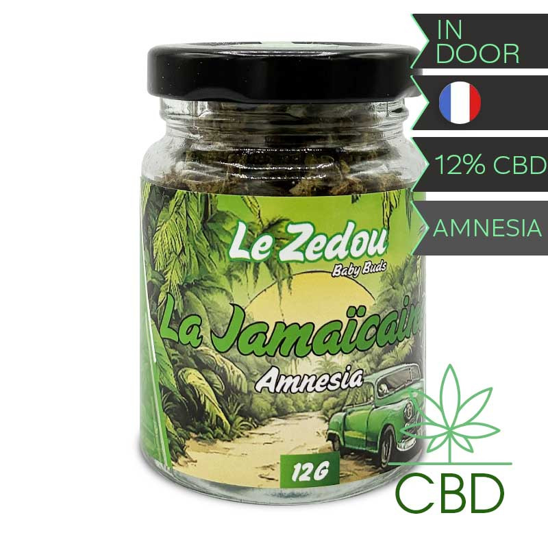 La Jamaïcaine – Le Zédou – Fleur CBD Amnesia – 12 g – Pot
