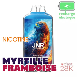 Blueberry Sour Raspberry - Falcon-X - JNR - 28000 Puffs