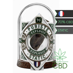 Hash CBD Static 10g - Puriste Haschill