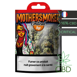 Critical Mother Smoker Fleur CBD 8 g - Haschill
