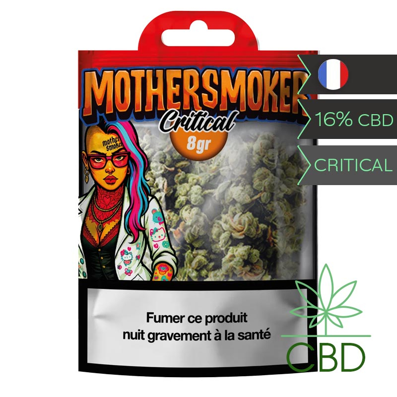 Critical Mother Smoker Fleur CBD 8 g - Haschill