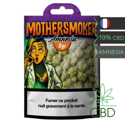 Amnesia Mother Smoker Fleur CBD 8 g - Haschill