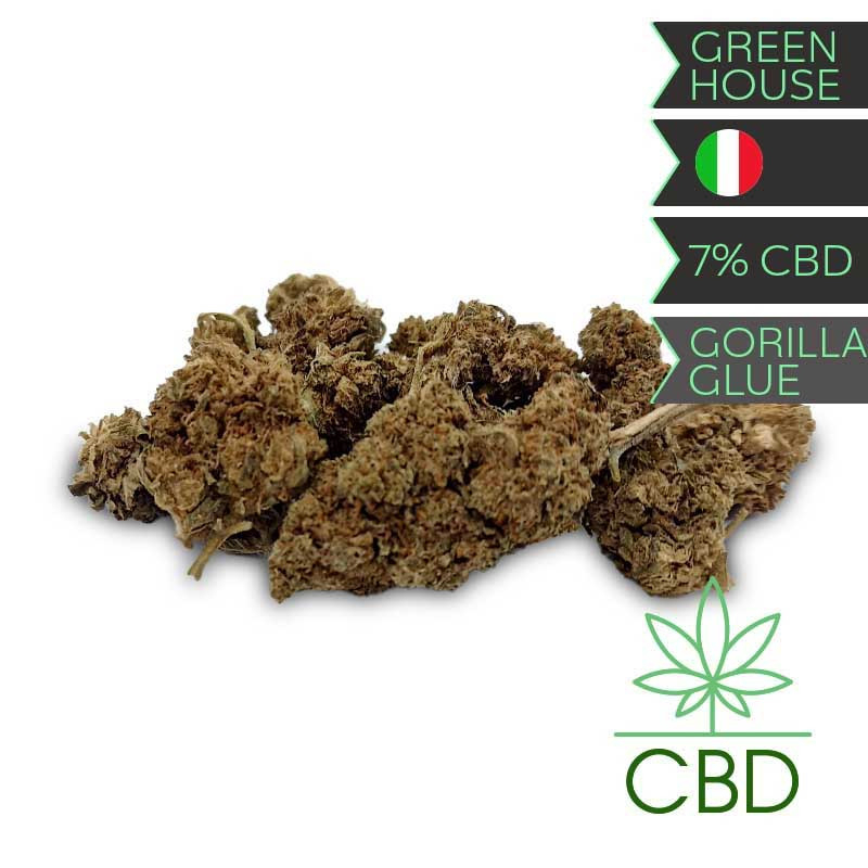 Gorilla Glue CBD Fleurs 5g Greeneo