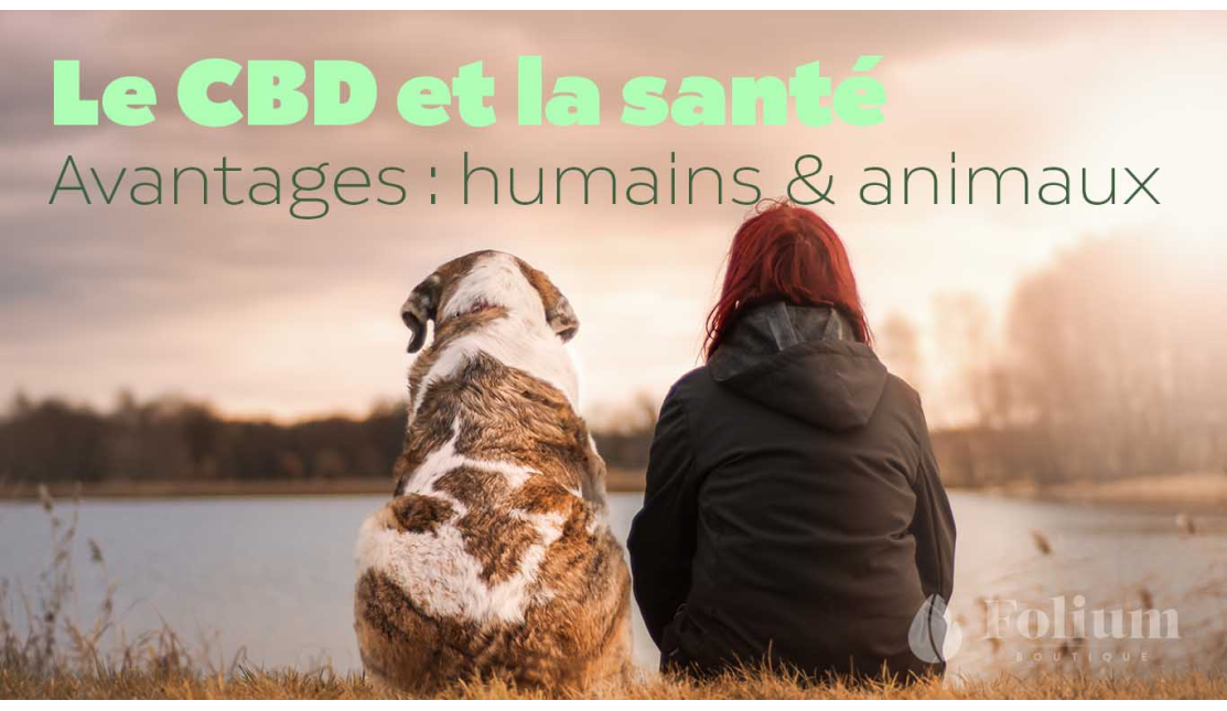 Le CBD et la santé