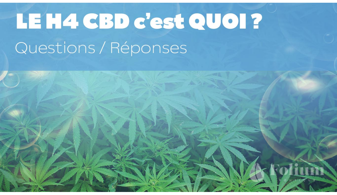 Le H4 CBD c'est quoi ?