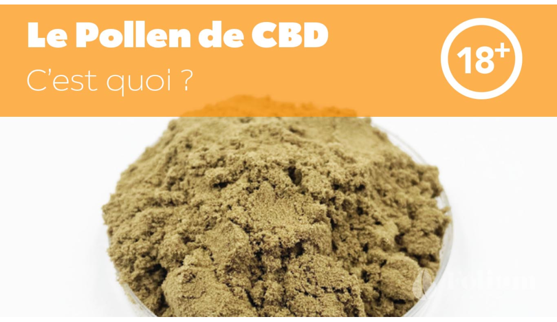 Pollen de CBD, c'est quoi ?