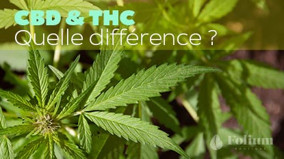 CBD et THC, quelle différence ?