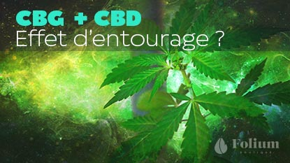 CBG CBD : effet d'entourage