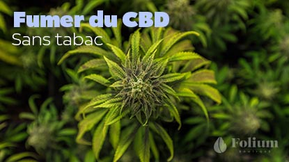Fumer du CBD sans tabac
